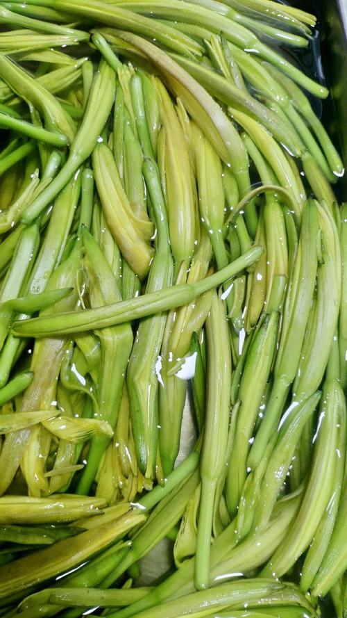 广东东莞干燥机械 24800.00元/件蔬